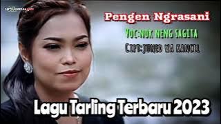 PENGEN NGRASANI‼️Lagu Tarling Terbaru Nok Neng Sagita,⁉️