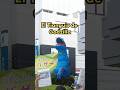 Tianguis en Japón Tianguis de Godzilla #japon #mexico #comedia