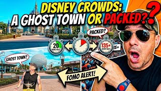 Just How "Busy" IS Walt Disney World NOW!? July 2026