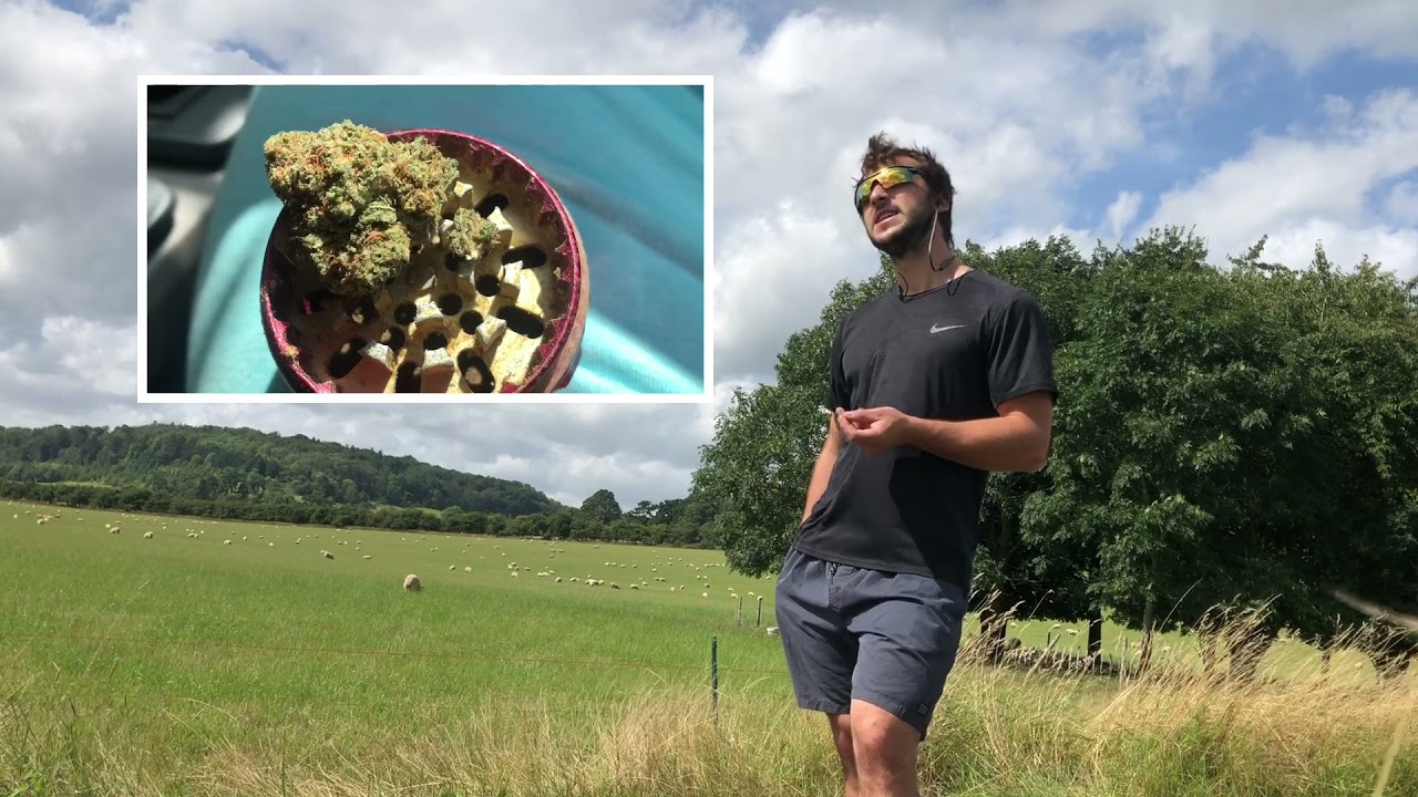 Sunday Strain Review #30 - Gary Payton 🏀🌲🔥