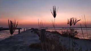 Story Wa sa'dunya fiddunya versi sunset:)#1