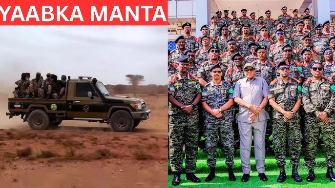 Chiroyli trans porno onlayn