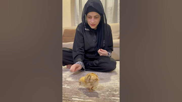البنت والصوص😁😁 ام سيف ونانو
