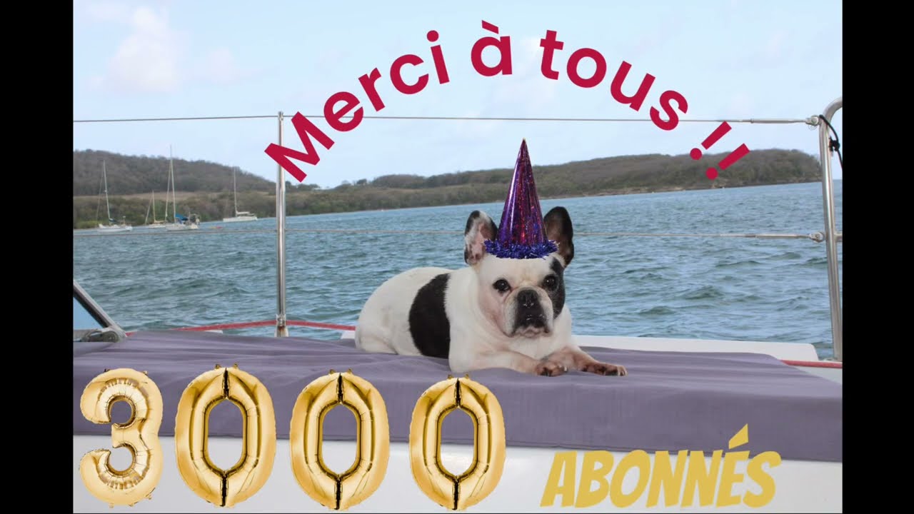 Une belle surprise !!! 3000 Abonnés