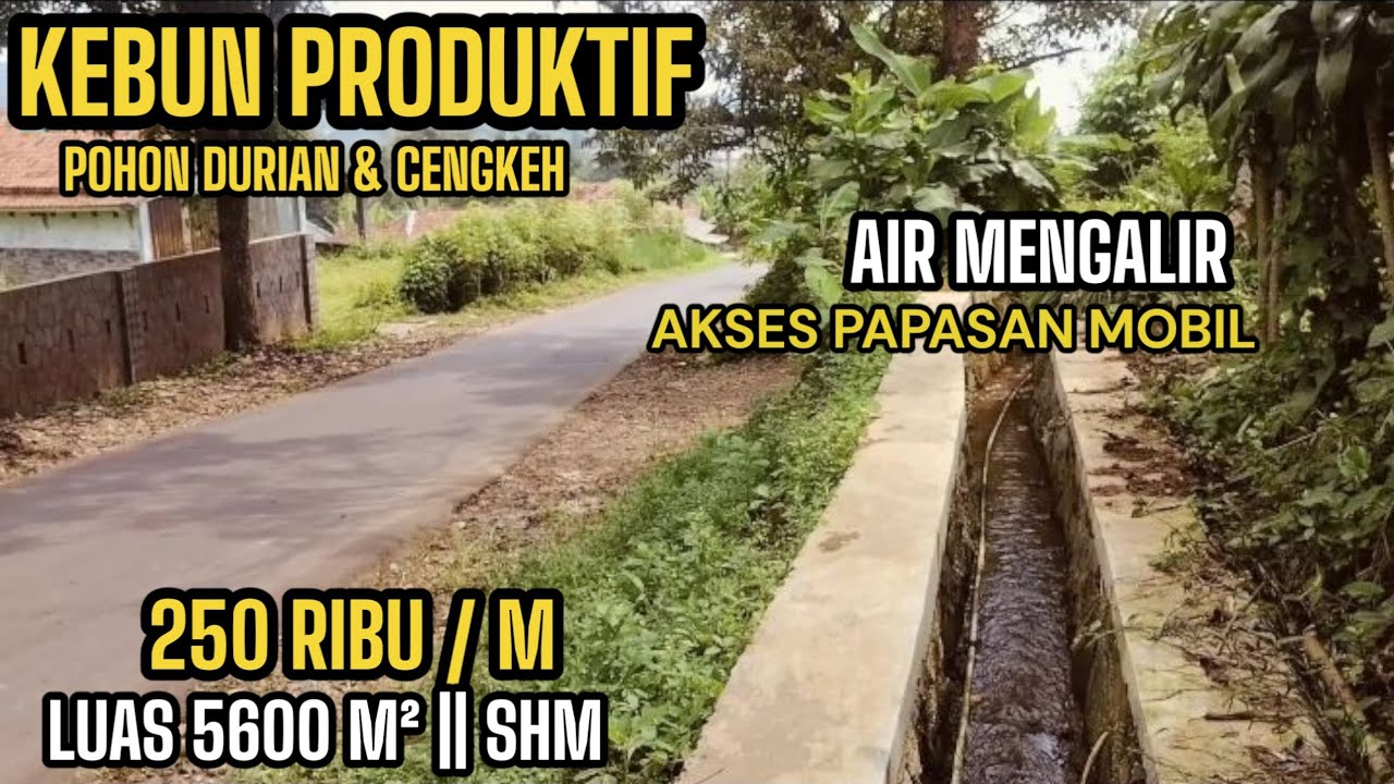 TANAH KEBUN PRODUKTIF DURIAN & CENGKEH DI JUAL || PAPASAN MOBIL ||AIR MENGALIR KIARAPEDES PURWAKARTA