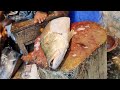 Amazing skills and experience to cut a Big Fish Cutting|| Big Fish Cutting|| amazing skills||