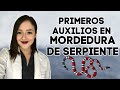 ¿Qué hacer si te muerde una serpiente? 🐍┃Manejo inicial por Dra. Ana Guajardo