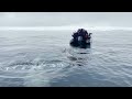 Orca encounter in antarctica  oceanwide expeditions