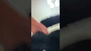 Its A Black Monkey What Is He Doing? Tell Me In The Comments