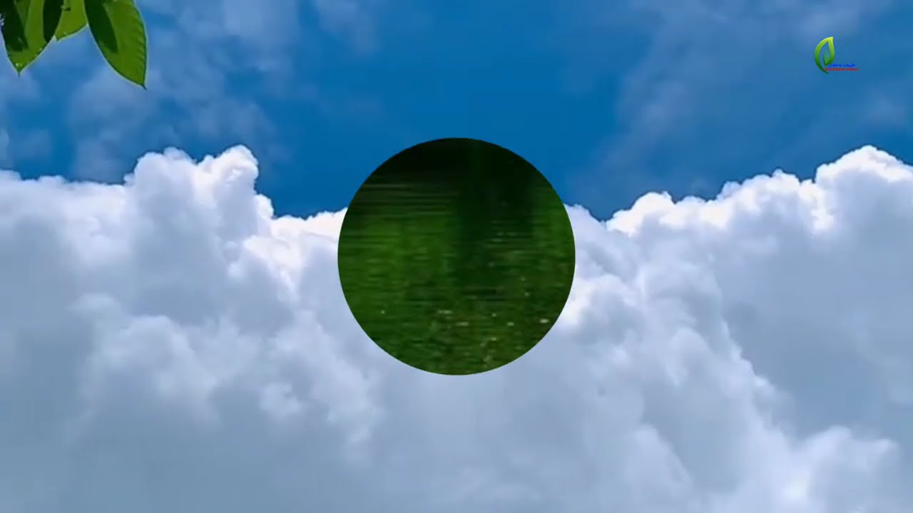 Nature with love, green and soft If you love, please subscribe us to enjoy nature. 