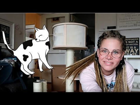 Video: Hur mycket minns din katt?