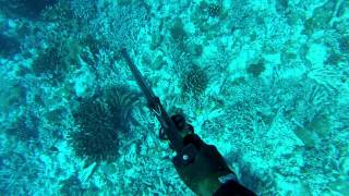 Spearfishing - Chasse sous-marine - KAUKURA