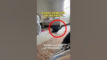 GHOST Tries to TAKE Her Cat!?