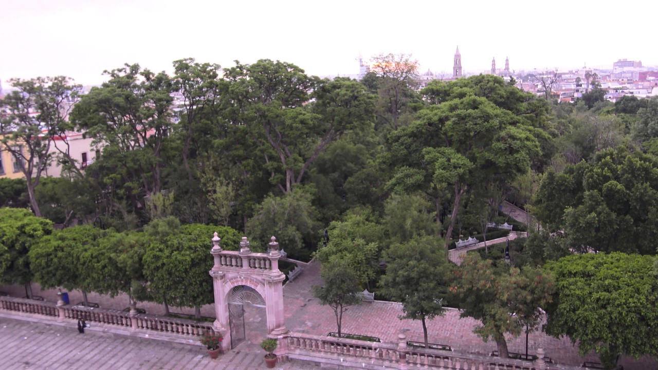 documentalista detran Amanecer Jardin de San Marcos Aguascalientes