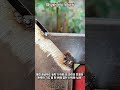 오차 제로, 완벽한 철제 조인트 용접 방법 #worker #process #welding #tutorial #tools