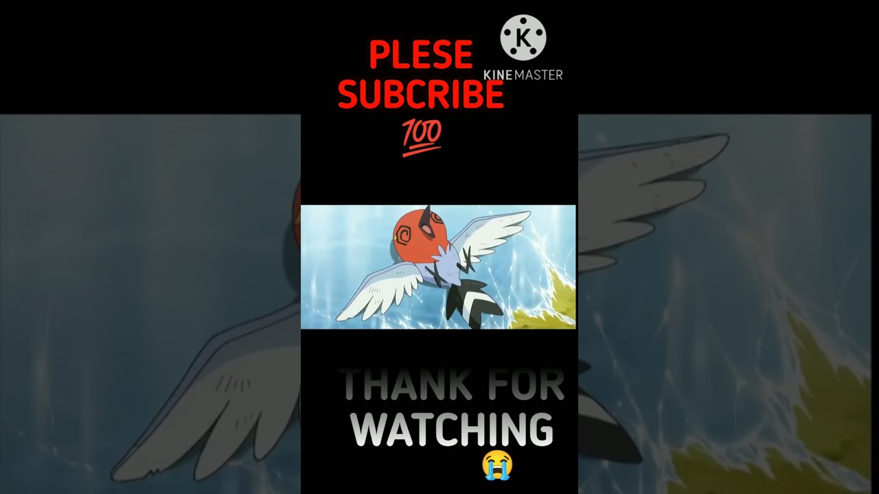 pokemon xyz series ep 5