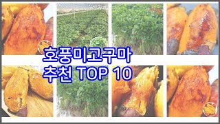 호풍미고구마 추천 선정 기준은 가격, 품질, 판매량! 추천 상품 TOP 10
