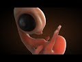 Medical animation axs studio showreel 2014