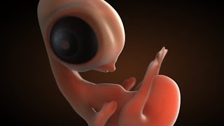 3D Medical Animation Showreel 2014 | AXS Studio
