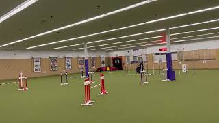 Chair Dog Agility -Jeanne And Her Border Collie X - November 5 2022 - Ohio