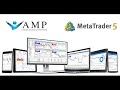 Обзор работы с брокером AMP futures