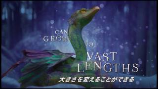 4月19日 ブルーレイ&DVDリリース『ファンタスティック・ビーストと魔法使いの旅』オカミー動画