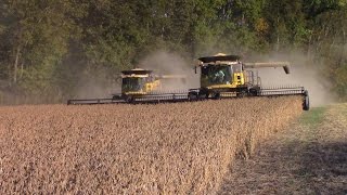 New Holland CR8090 Combines Harvesting Double Crop Soybeans