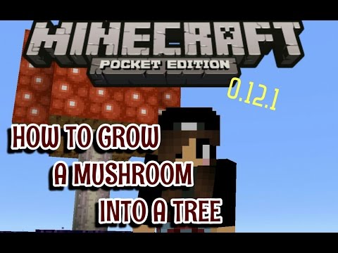 How To Craft Bone Meal In Minecraft Ps How To Craft Bone Meal In Minecraft Ps