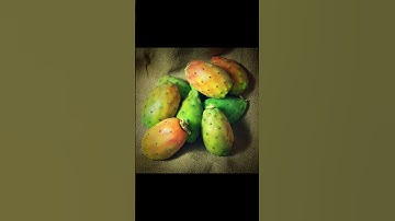 سورة التين كاملة Surah At-Tin (complete)  💫 تلاوة هادئة للحفظ للأطفال 👬