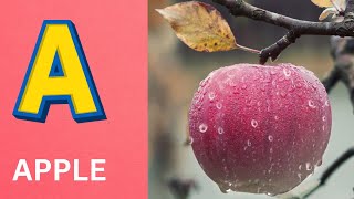 ABC Phonics Song | Alphabet letter sounds | ABC learning for toddlers | Education ABC Nursery Rhymes