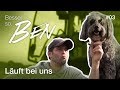 Claas  besser so ben film 03 geregelt einfach mal druck ablassen