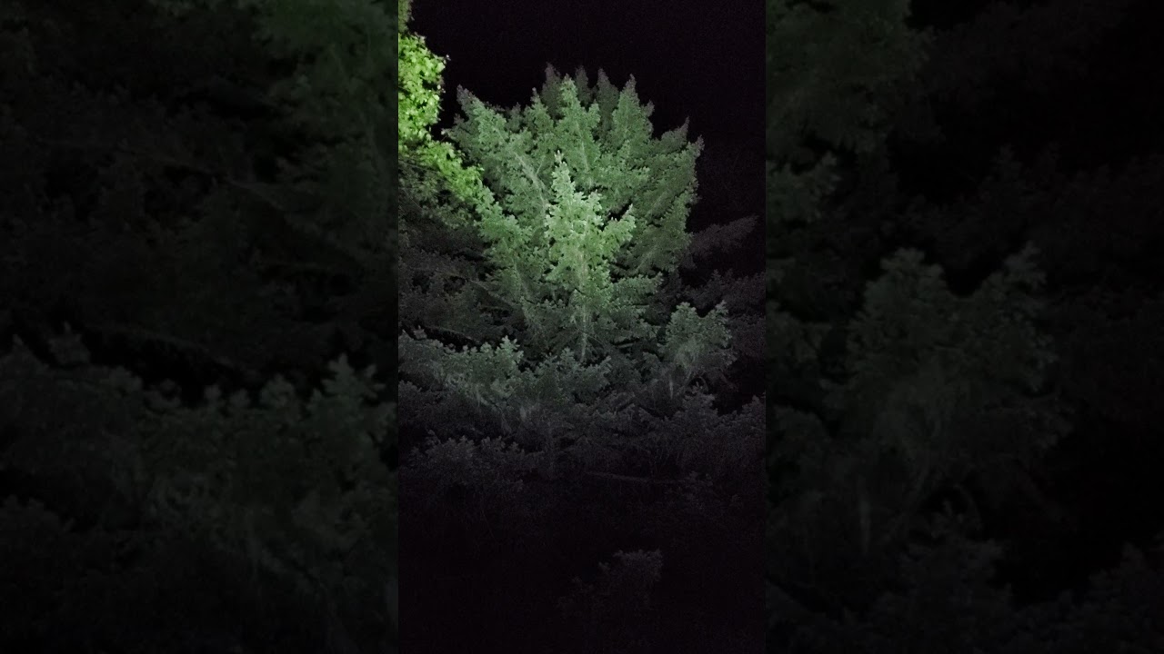 Streamlight Wedge at night pen light