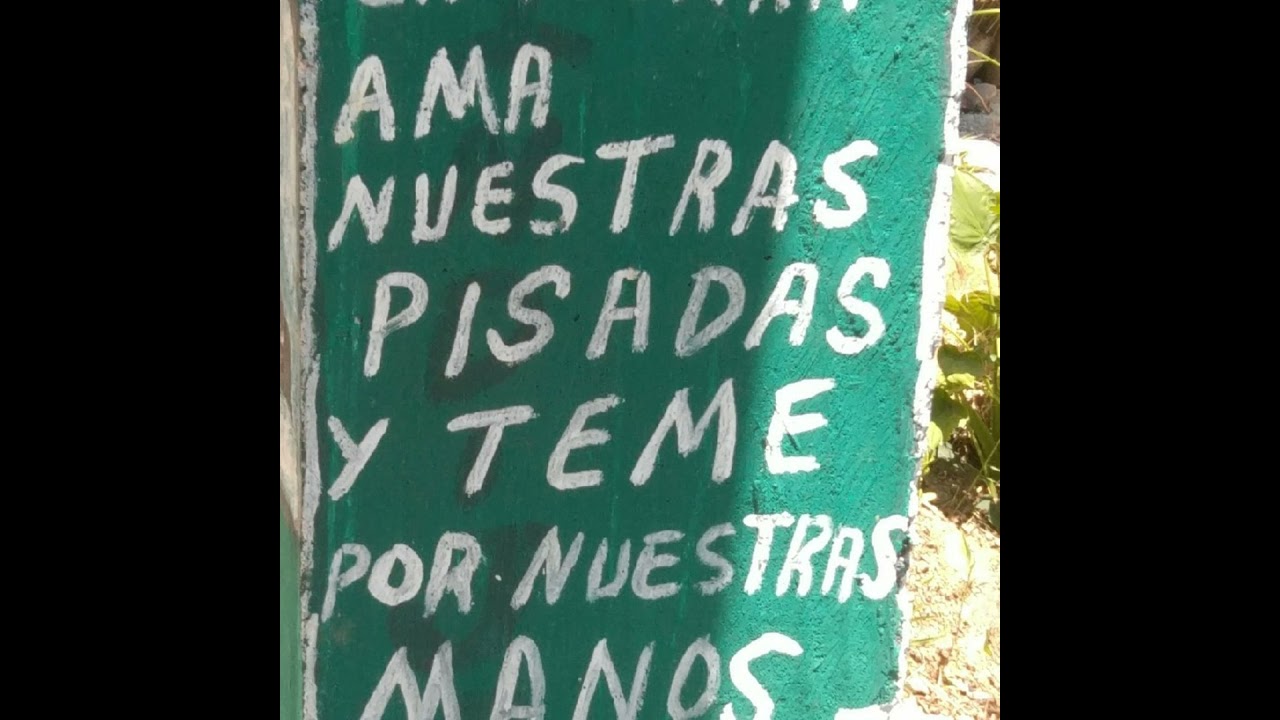 Reseña A El Gato Negro Y El Hombre Enfundado