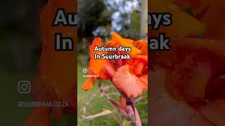 Quite autumn days in Suurbraak #suurbraak #overberg