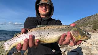 Shore Fishing Bear Lake | Cutthroat Trout & Mirror Carp | Utah/Idaho