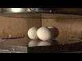 Deep Freeze Crush Test-Eggs