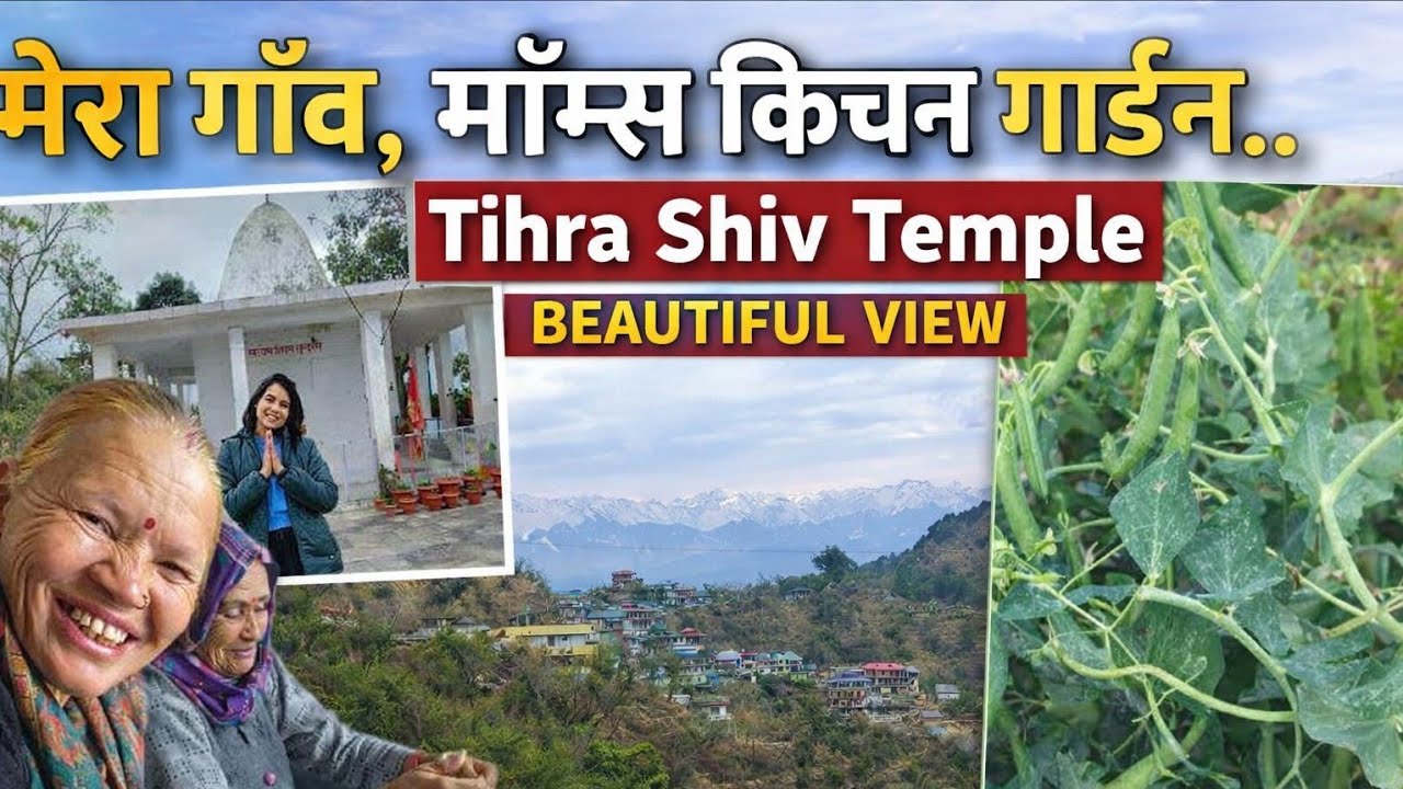 My Village|| Village Tour|| My mom's kitchen Garden ||Famous Tihra Shiv Temple 