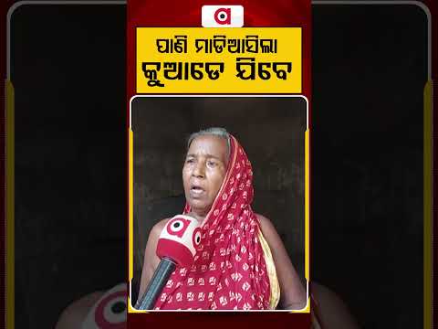 ପାଣି ମାଡିଆସିଲା କୁଆଡେ ଯିବେ | Odisha Flood Crisis | Argus News