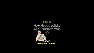 How neuroplasticity can transform your life