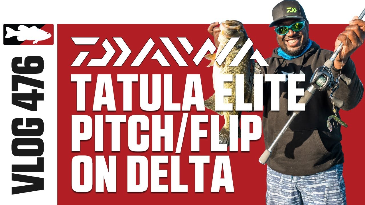 Ish Monroe Fishing the Daiwa Tatula Elite Pitch/Flip on the Delta - Tackle  Warehouse VLOG #476 