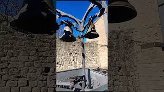 #Shorts😘#montemonaco❤️AP #marche💖 #scoprendo #piante ❤️#viaggiando ♥️italia🇮🇹