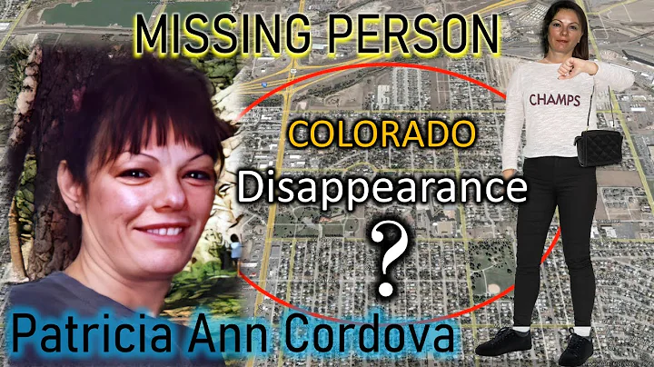 2005 Missing Person Case - The Disappearance of Pa...