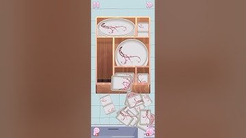 Perfect Tidy – Level 66 Walkthrough | Putting Dishes Away 🍽️