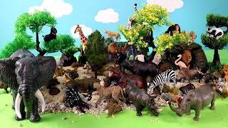 African Animals Safari Diorama - Learn Animal Names with Figurines