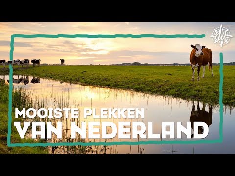 Video: Wat Om Te Sien In Nederland