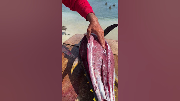 Como FILETEAMOS un ATUN aleta Amarilla 🐟 #pesca #pescaycocina #fishing