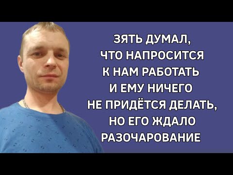 Зять думал, что напросится к нам работать и ему ничего не придется делать,но его ждало разочарование