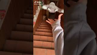 elastickorps cicaboom mr monkey drop test sulle scale 😱😱
