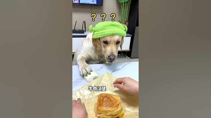 原來狗子也會後悔～