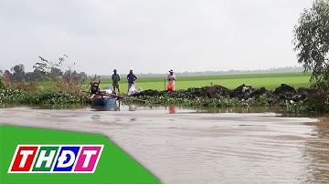 Tây Ninh: Nước lũ dâng cao gây ngập nhiều diện tích lúa, cây ăn trái | THDT